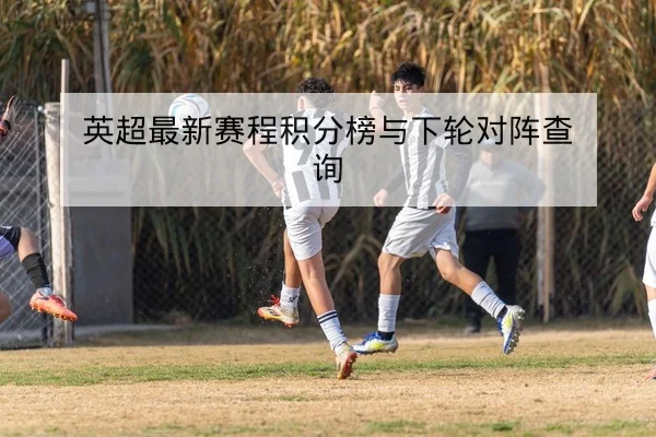 英超最新赛程积分榜与下轮对阵查询